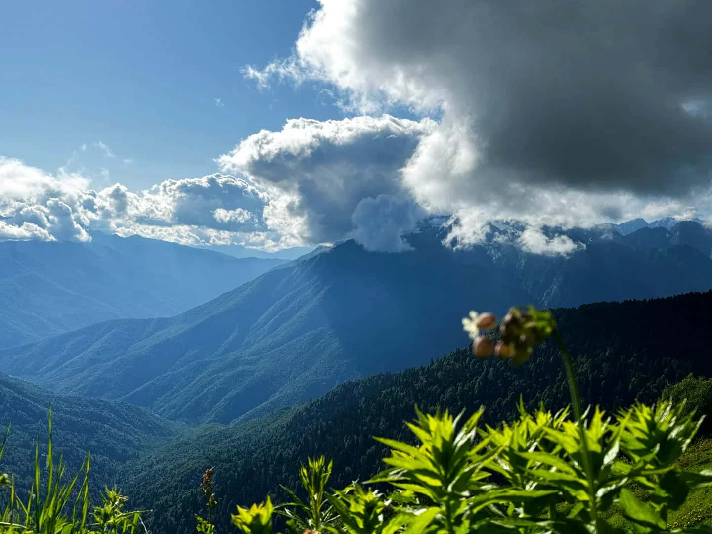 Погода на карнизе