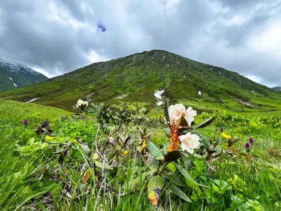 The meadows of the Bzerpinsky Cornice