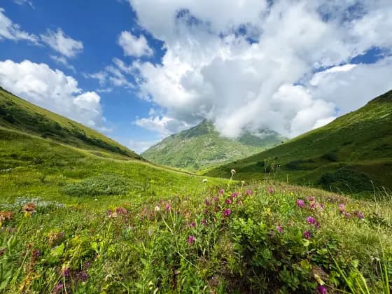 Meadows at the Bzerpinsky Cornice