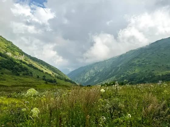 Meadows on the way to Lake Maloye in August