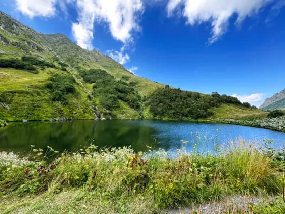 Lake Maloye in August
