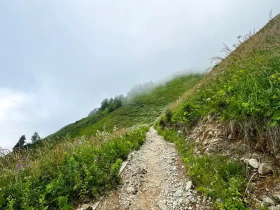 The trail to the Bzerpinsky Cornice from Medvezhyi Vorota