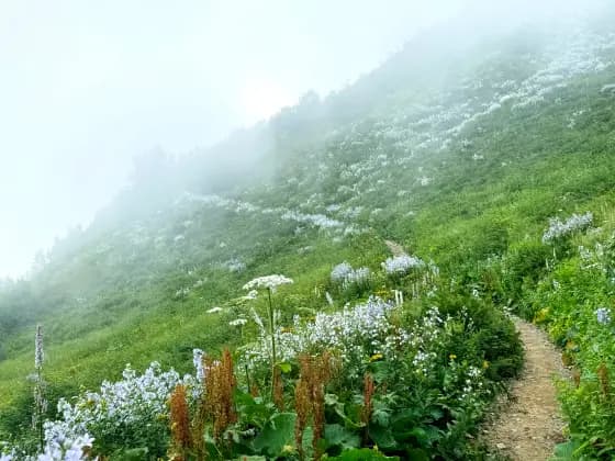 The trail to the cornice in August