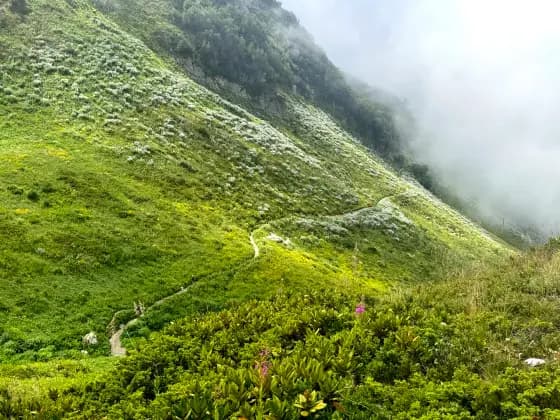 The trail to the cornice in June