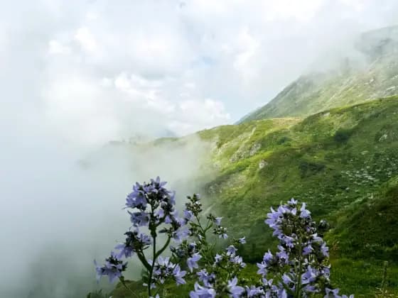 The trail to the cornice in fog